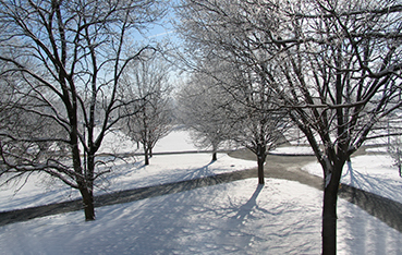 Winter campus